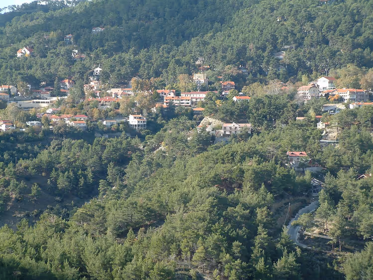 Panorama van het dorp Platres in een dennenbos in de bergen