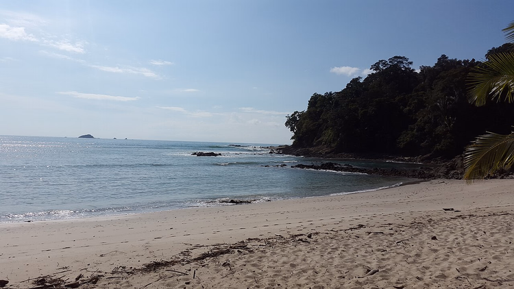 Hiekkainen Manuel Antonio -ranta metsäisine niemenkärkineen