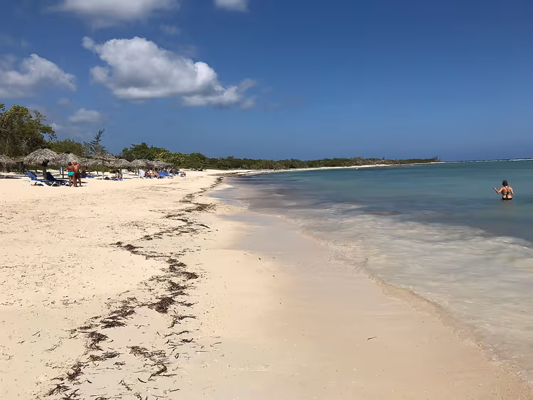 Strand met rieten parasols, ligstoelen en zwemmers