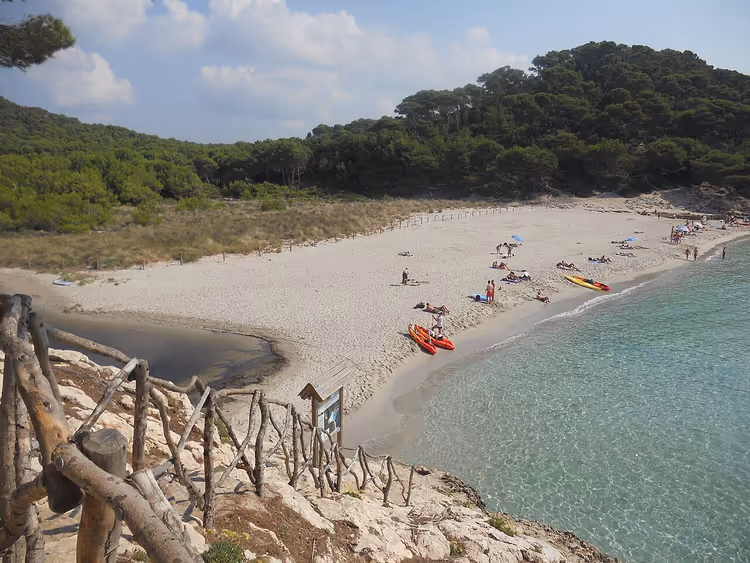 Cala Trebaluger-strand met wit zand en dennenbomen
