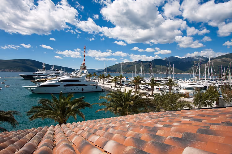 Jachthaven Porto Montenegro met jachten en palmbomen