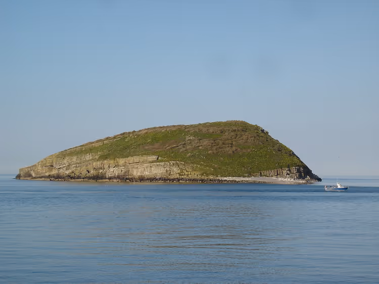 deniz kayalıklarıyla çimenli Puffin Adası