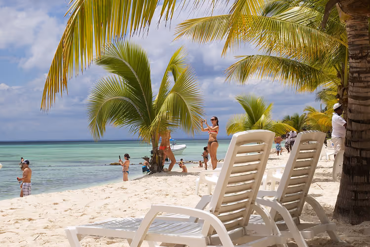 Palmiyeler ve şezlonglarla Punta Cana plajı