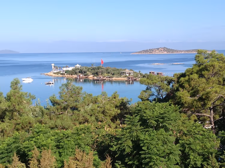 Çam ağaçları, deniz ve teknelerle bir koyun panoraması