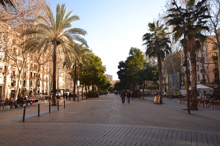 Rambla del Raval'da palmiyeler ve kafeler
