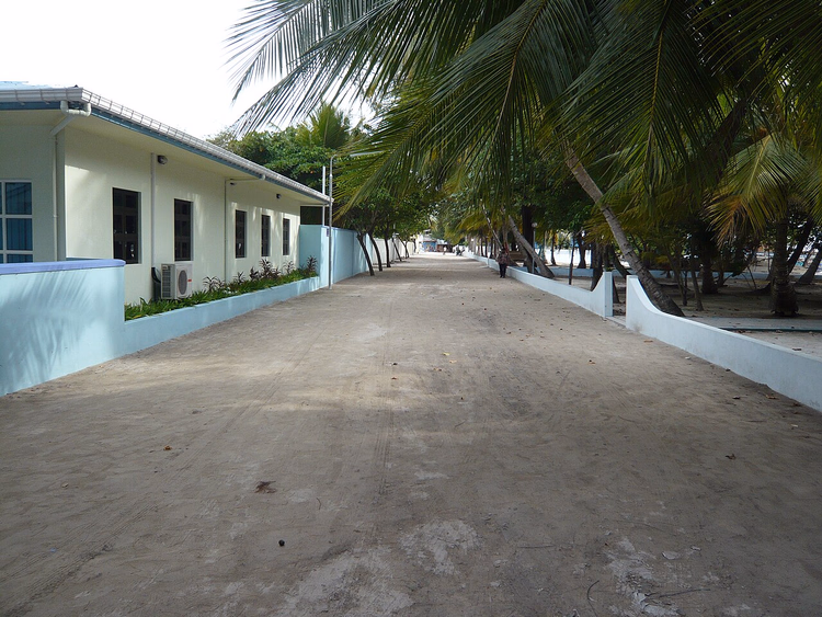 Sandige Straße mit Palmen auf der Insel Rasdhoo