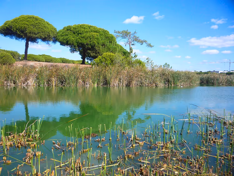 Lagunen und Inseln des Naturparks Ria Formosa