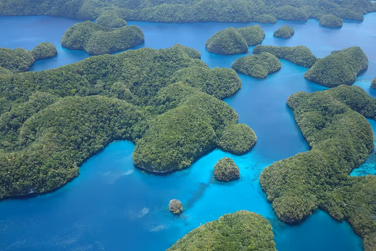 Flyfoto av de frodige, grønne øyene i Palau i turkis vann