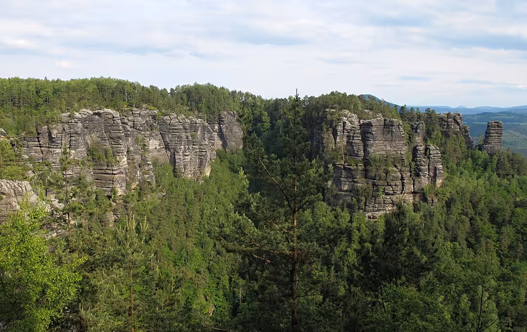 Felsen und dichter Wald in der Böhmischen Schweiz