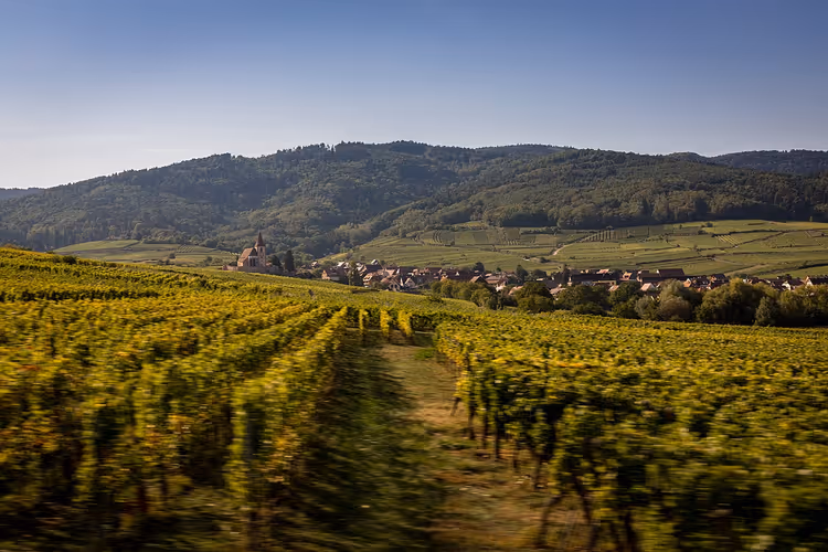 Elsässer Weinberge im Herbst, Dorf und Hügel