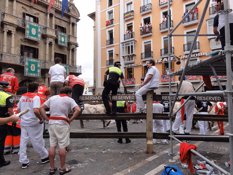 Stiere und Läufer an der Absperrung in einer Straße in Pamplona