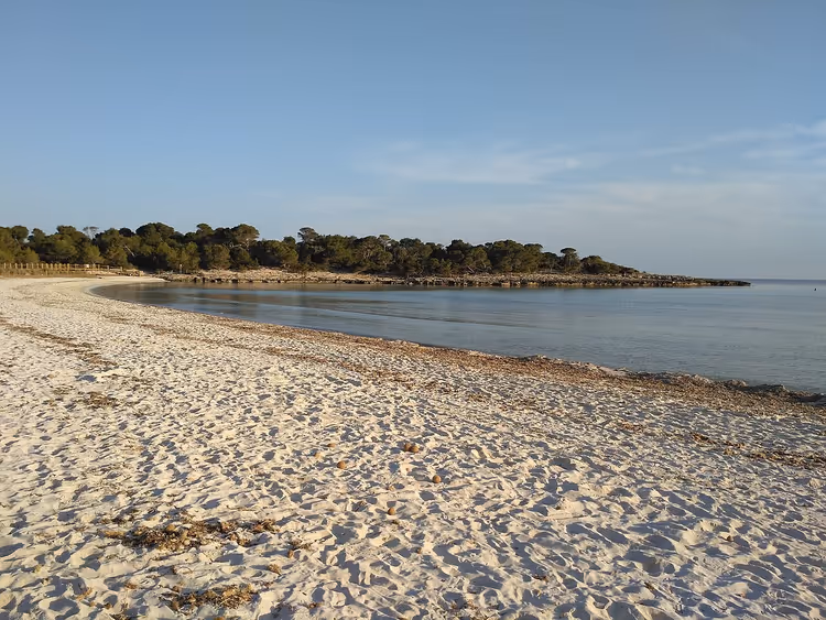 Son Saura zandstrand met bomen aan rustig water