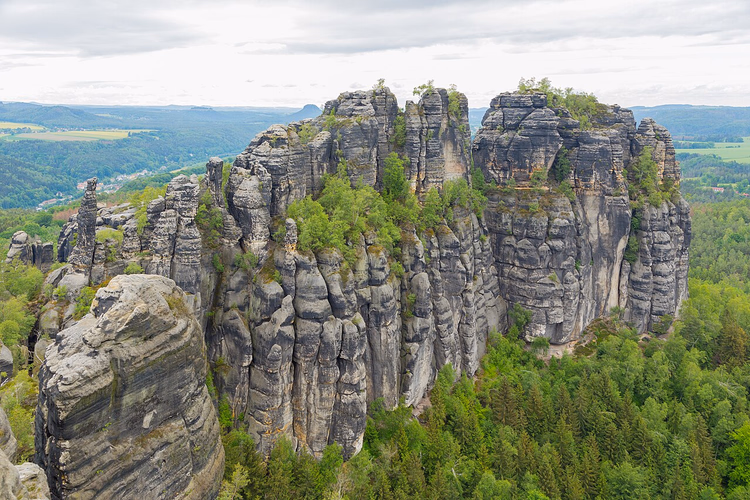 Schrammsteine-Felsmassiv über einem Nadelwald