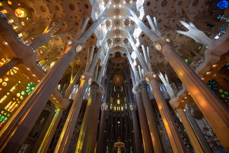 Sütunlar ve tonozlarla Sagrada Familia'nın içi