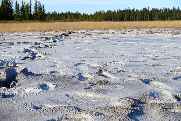 Saltslette i Wood Buffalo