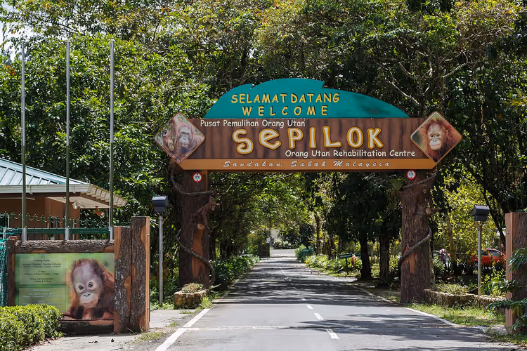 Arche d'entrée de Sepilok au milieu de la forêt tropicale
