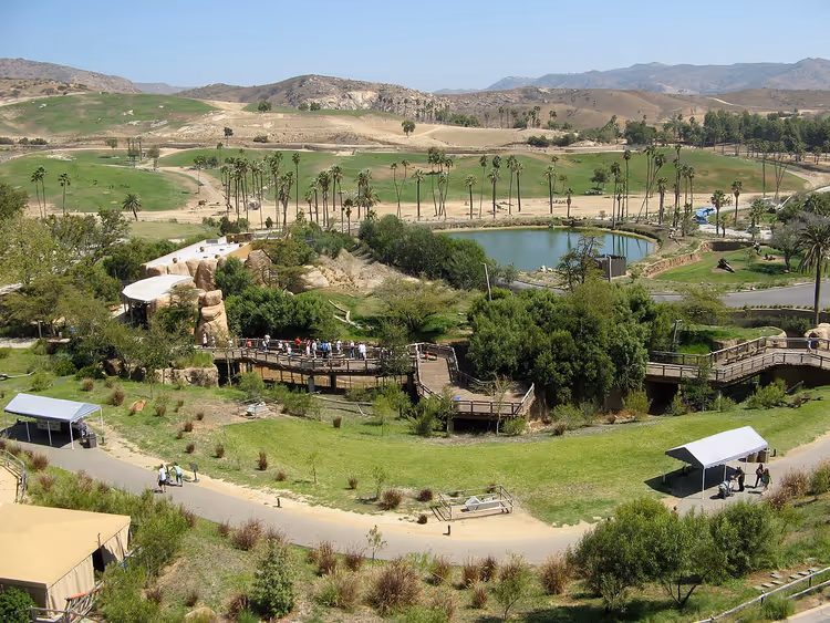 Panorama overdag van San Diego Safari Park met een vijver en palmbomen