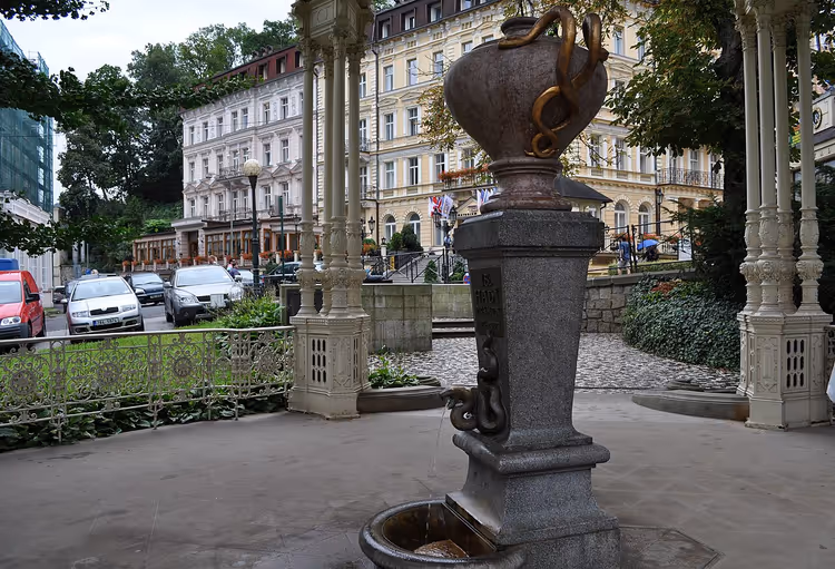 Bron met vaas en slang in Karlovy Vary