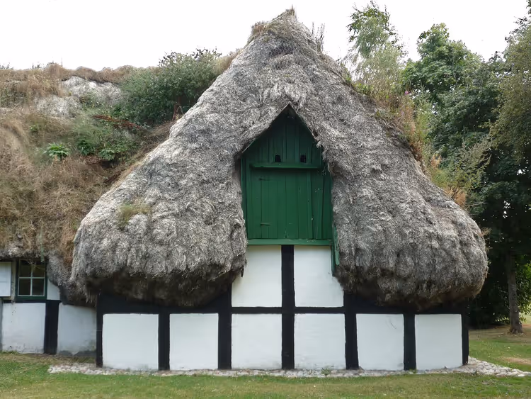 Yosun çatılı Hedvigs Hus evi