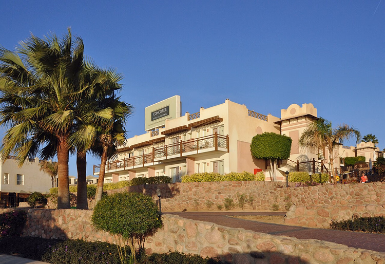 Concorde-hotellbygget med palmer i Sharm