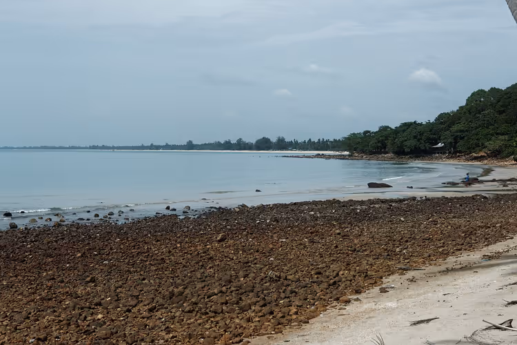 Steinstrand med mørke steiner og hav