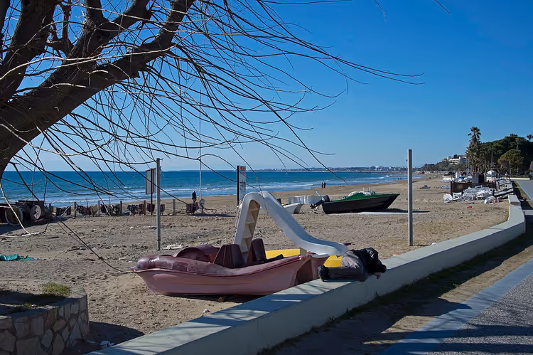 strand met een roze catamaran en een boom