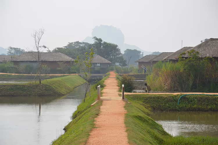 Göletlerle bezeli su bahçesi ve uzakta Sigiriya Kayası