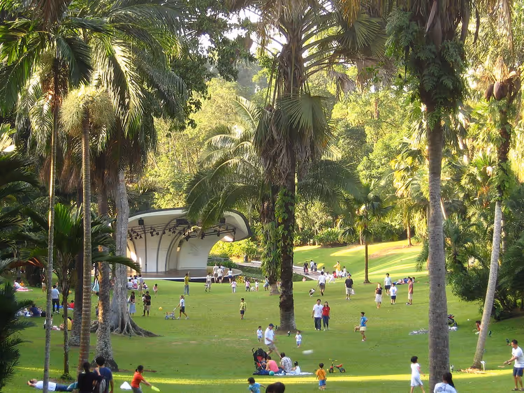Palm Valley in de Singapore Botanic Gardens