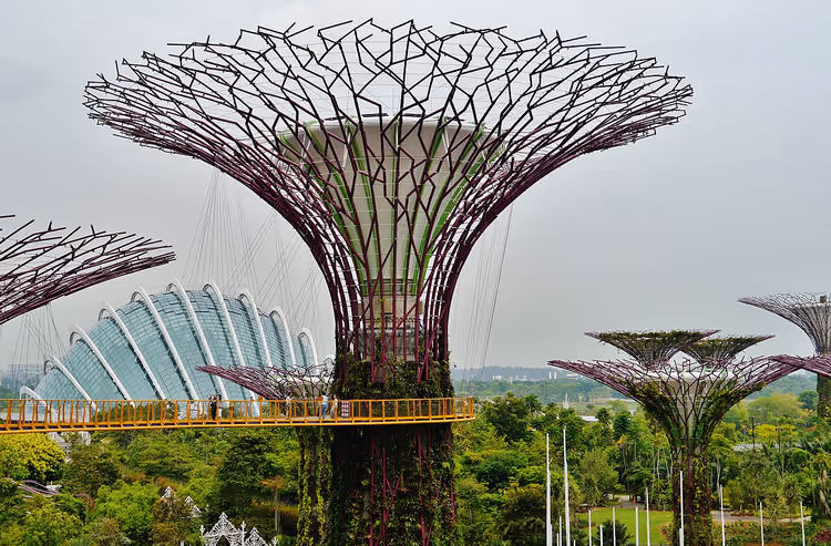 Supertrees in den Gardens by the Bay