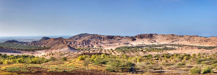 Åser og grønne lunder på Sir Bani Yas-øya