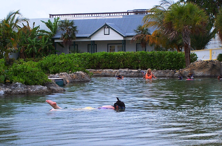Turister som snorkler i midtlagunen