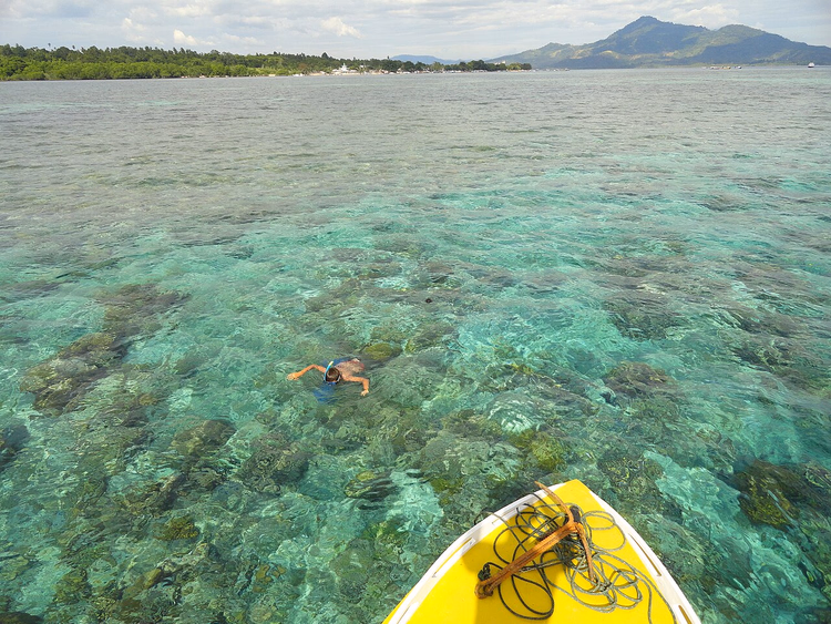Snorkling over Bunaken-revet med Manado Tua-vulkanen i det fjerne