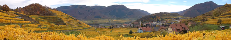 Wachau bağ terasları, sonbaharda köy ve tepeler