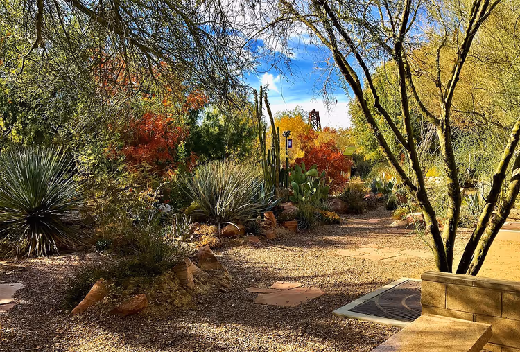 Woestijnbotanische tuin met grindpad en agaves