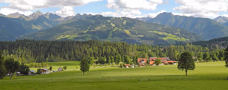 Panoramaweg-stien blant lerketrær over Ramsau