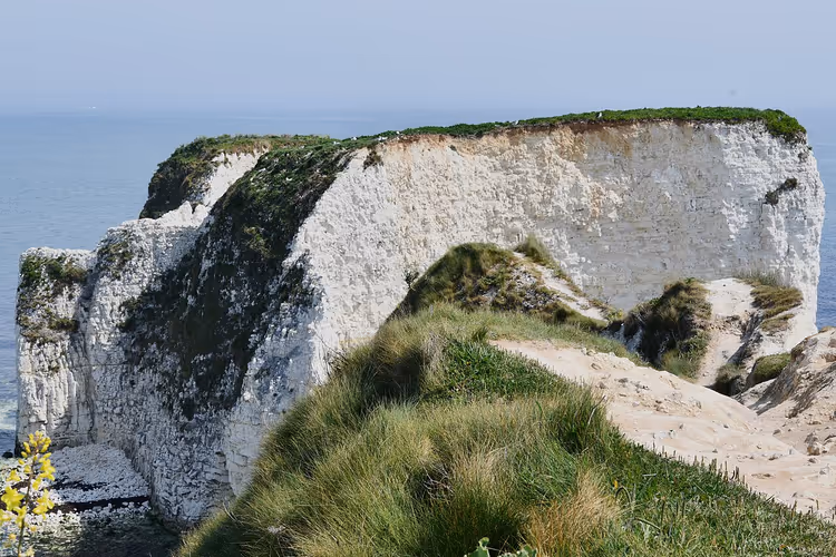 Die Kreidefelsen Old Harry Rocks bei Studland