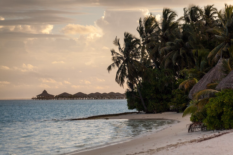 Strand met palmbomen en watervilla's bij zonsondergang