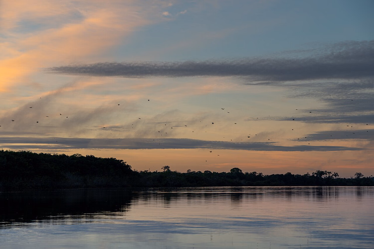 Solnedgang over en elv i Amazonas-jungelen