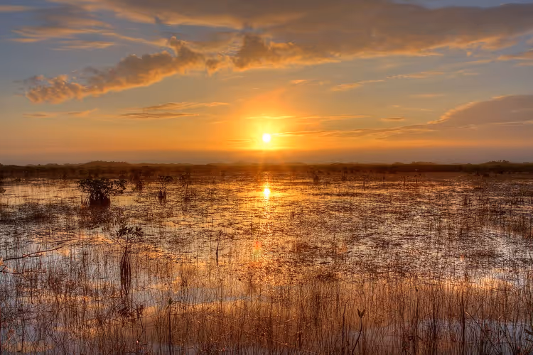 Everglades Ulusal Parkı'nın bataklık otları üzerinde gün batımı