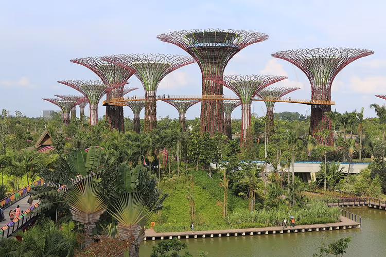 Gardens by the Bay in Singapur mit Supertrees