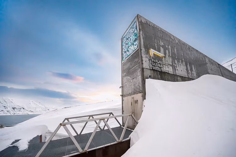 Inngangen til Svalbard globale frøhvelv i snøen