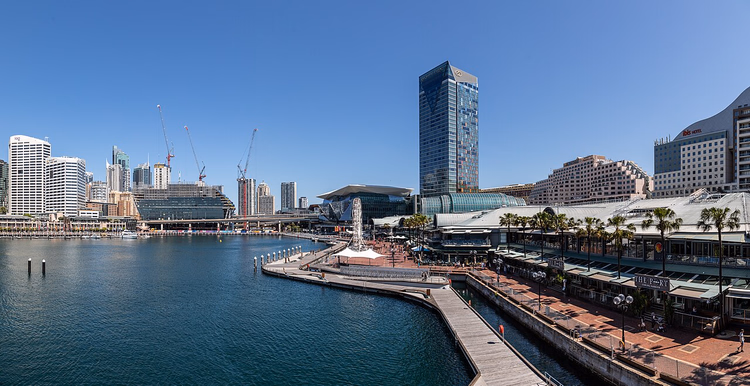 Darling Harbour med palmer og skyskrapere