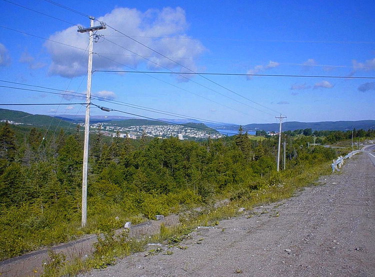 Bir tepeden Corner Brook ve körfez manzarası