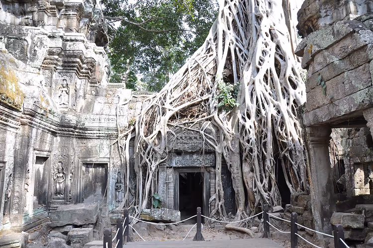 Eeuwenoude Ta Prohm-tempel met reusachtige boomwortels