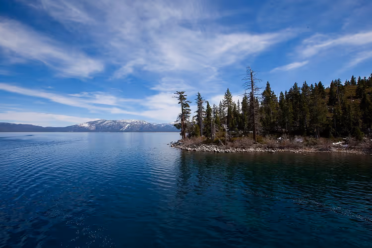 Çamlar ve karla kaplı dağlarla Lake Tahoe