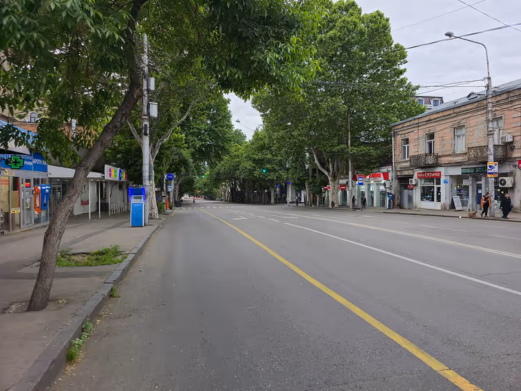 Viale Tamar Mepe verde a Tbilisi