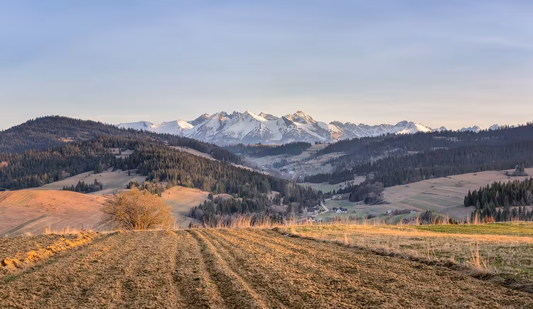 Sneeuwbedekte Tatra-gebergte aan de horizon boven de heuvels