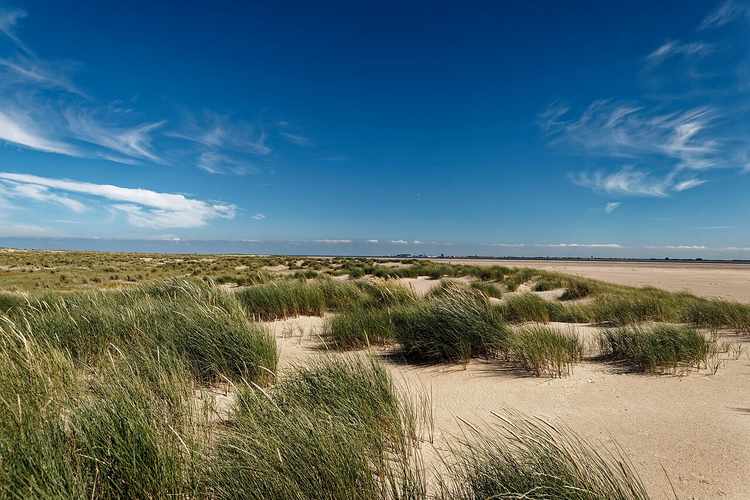 Grasbewachsene Dünen und die Sandfläche De Hors