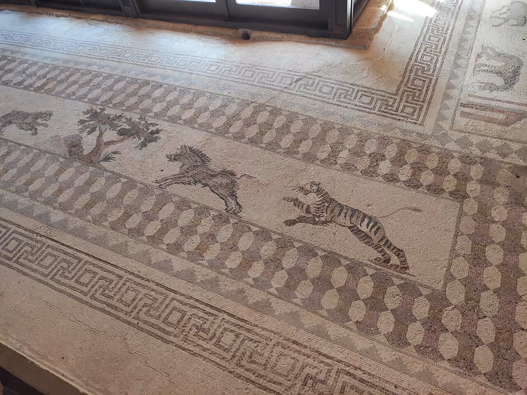 Antikes Mosaik mit Tiger und Pferd, Paphos