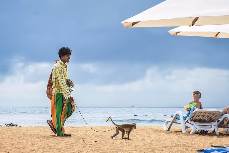 Man die een aapje aan een lijn uitlaat op het strand